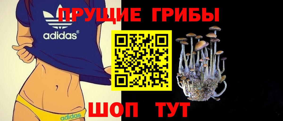 Псилоцибиновые грибы MAGIC MUSHROOMS Нижнекамск